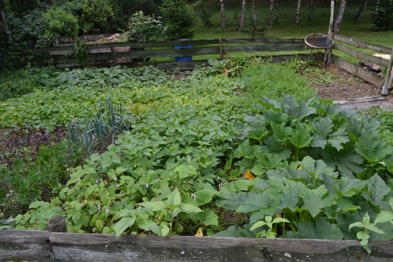 פובידנה Agroturystyka Teosiowo מראה חיצוני תמונה